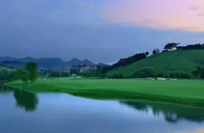 Anji China Bamboo Sea