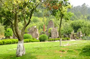 Sri Lanka Garden