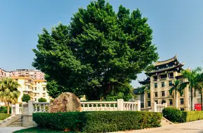 Overseas Chinese Museum