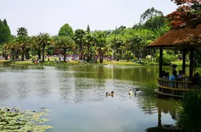 Kunming Botanical Garden