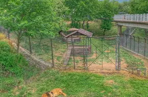 Qingdao Forest Wildlife World