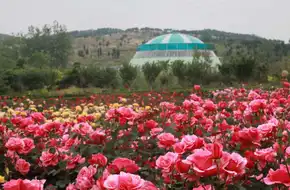 Herb Culture Expo Park