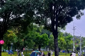 Linjiang Riverside Belt Park