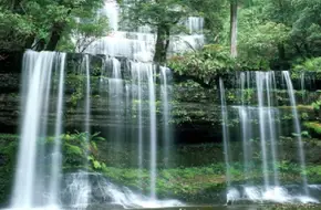 Shandong Zhushan National Forest Park