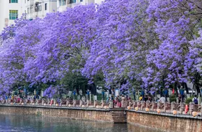 Panlong River