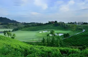 Anji China Bamboo Sea