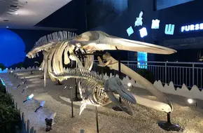 Qujiang Ocean Park
