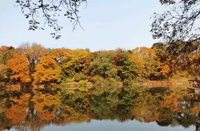 Summer Palace — Rear Lake