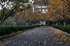 Ruo Shui Garden
