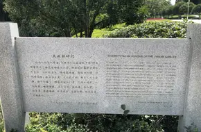 Tianjin Yuan