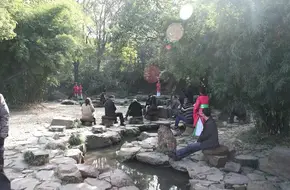 Curved Water Floating Cups