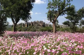 Hemozhai