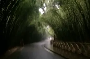 Shu Road Garden
