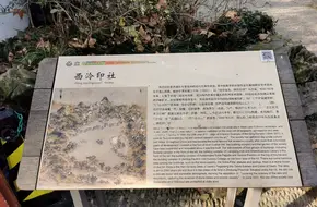 Treasure Seal Mountain Villa