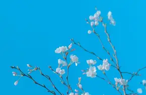 Shilou Paifang