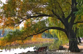 Qichun Yuan