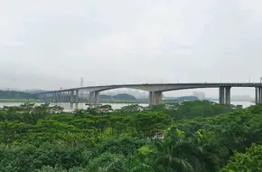 Guangzhou Academy Of Fine Arts University City Campus Library