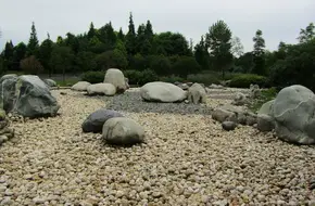 Jinsha Site Museum Ebony Forest