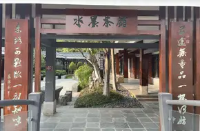 Ink Garden