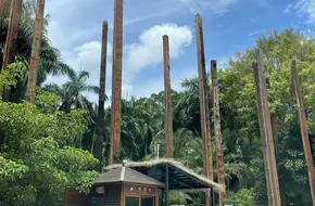 Four Seas Equestrian Manor