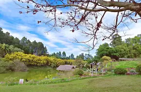 Four Seas Equestrian Manor