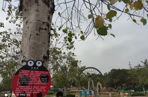 Panyu Children'S Park