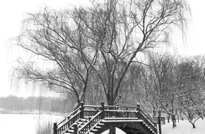 Yuanmingyuan Ruins Park (Qichun Garden Palace Gate)