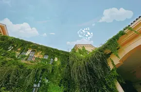 Chengdu Contemporary Imaging Museum
