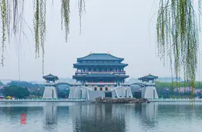 Tang Paradise