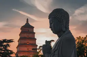Tang Dynasty Great Mercy Monastery Site Park
