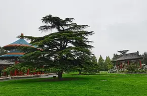 The Long Corridor Of The Temple Of Heaven