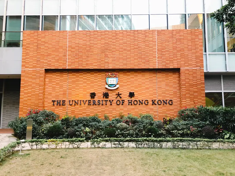 The University Of Hong Kong