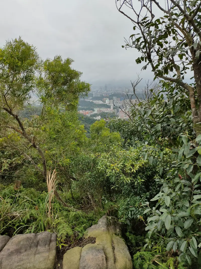 Jinmian Shan