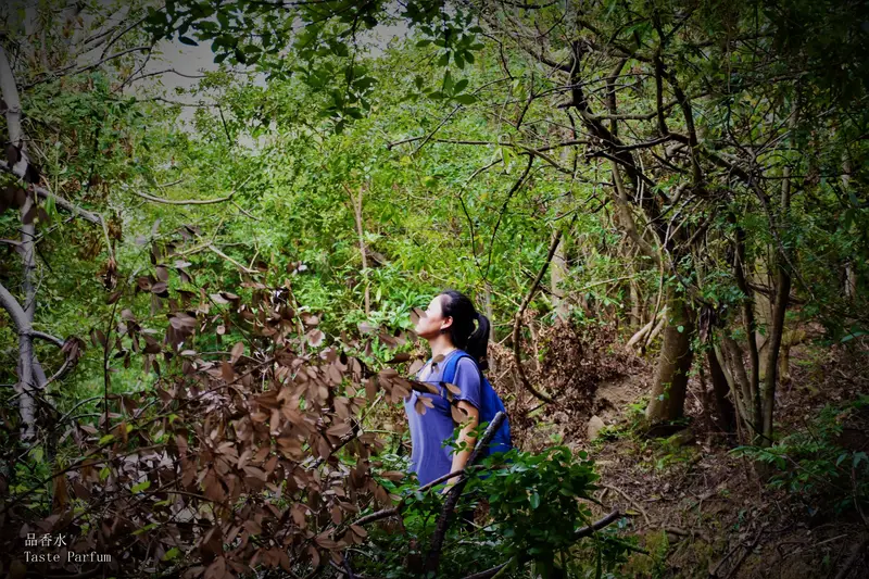 Dong'Ao Ancient Path