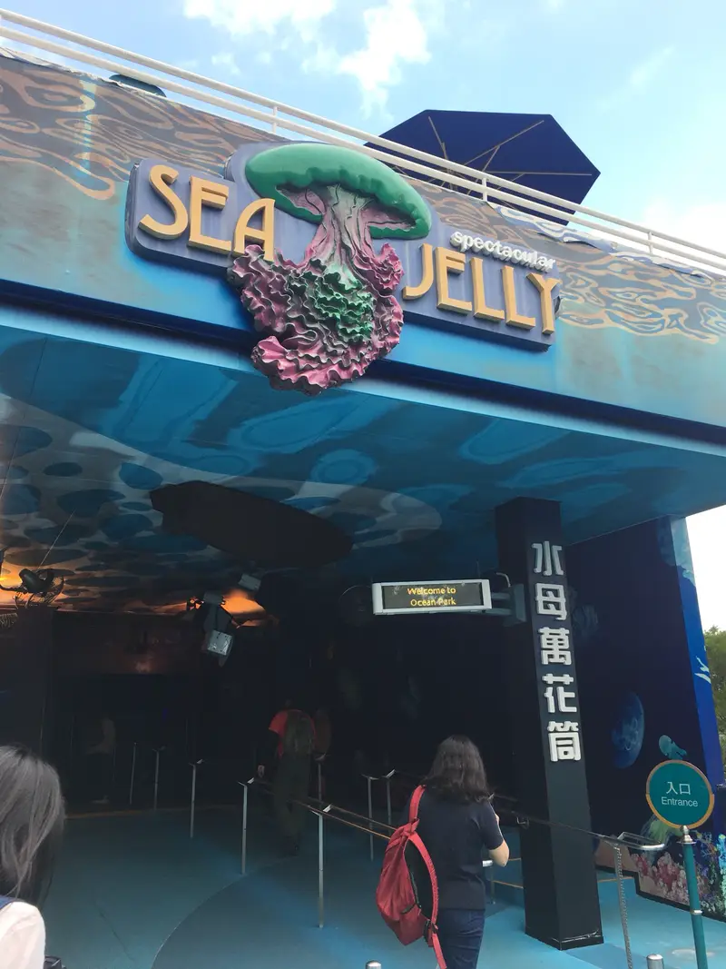 Sea Jelly Spectacular