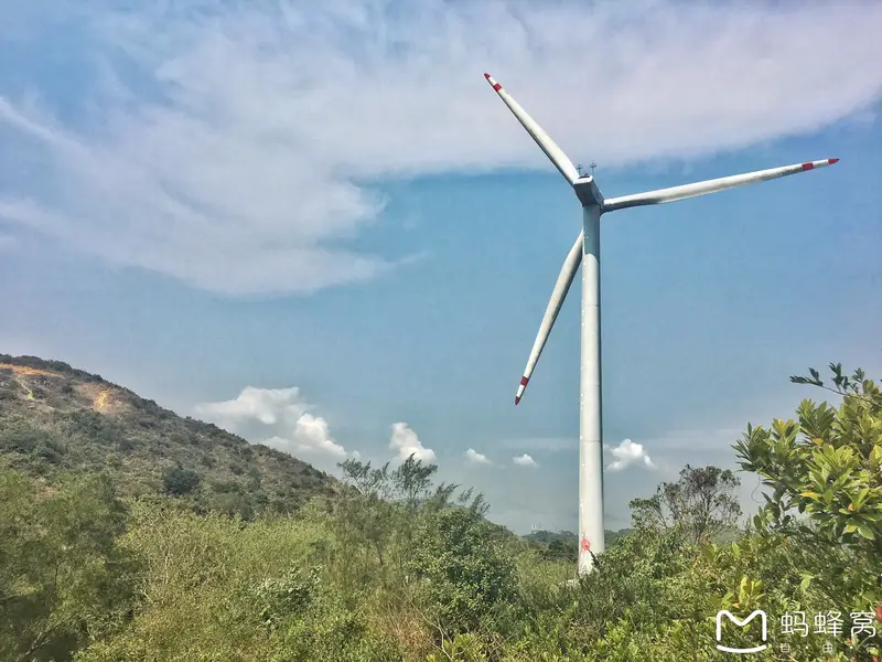 Lamma Wind Turbines