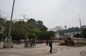 Barra Square