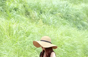 Yangmingshan Hot Springs