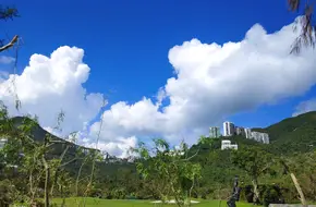 Stanley Bay