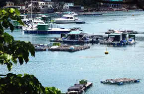 Clear Water Bay