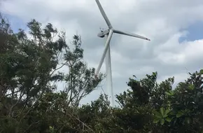 Lamma Wind Turbines