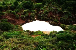 Milk Lake