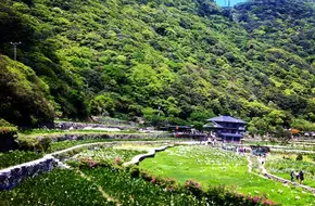 Bamboo Lake