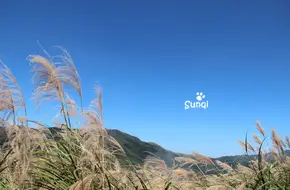 Mt. Qi Xin