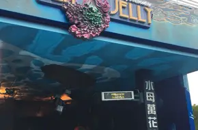 Sea Jelly Spectacular