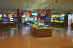 Taipei Discovery Dome