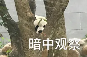 Shek Pik Wan Country Park