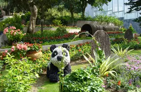 Shek Pik Wan Country Park