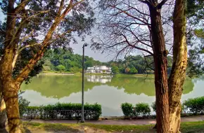 Bihu Park
