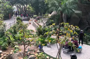 Pigeon Nest Park